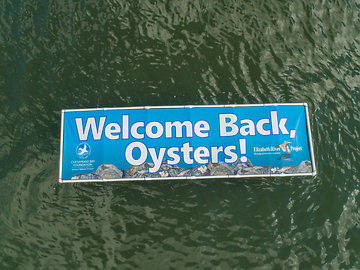Click to Read Awesome aerial shoot of Oyster Planting!