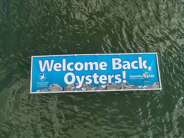 Click to Read Awesome aerial shoot of Oyster Planting!